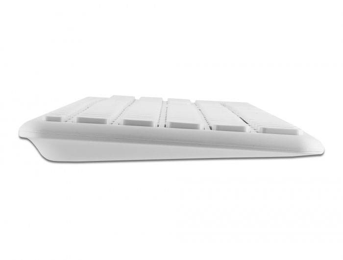 Delock 12703 Kabellos Maus, Tastatur Integriertes Scrollrad, Maustasten, mit numerischer Tastatur, Wiederaufladbar Deutsch