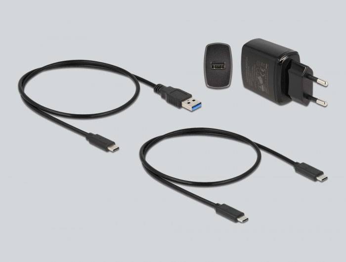 Delock 64138 USB-C®, ExpressCard Festplatten-Dockingstation mit USB Hub
