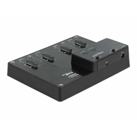 Delock 64124 USB-C®, DC-Buchse 3.5mm Festplatten-Dockingstation mit Clone-Funktion Delock 64124 USB-C®, DC-Buchse 3.5mm Festplatten-Dockingstation mit Clone-Funktion