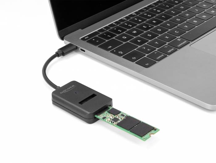 Delock 64198 Schnittstellen-Konverter [1x M2, SATA - 1x USB-C®]