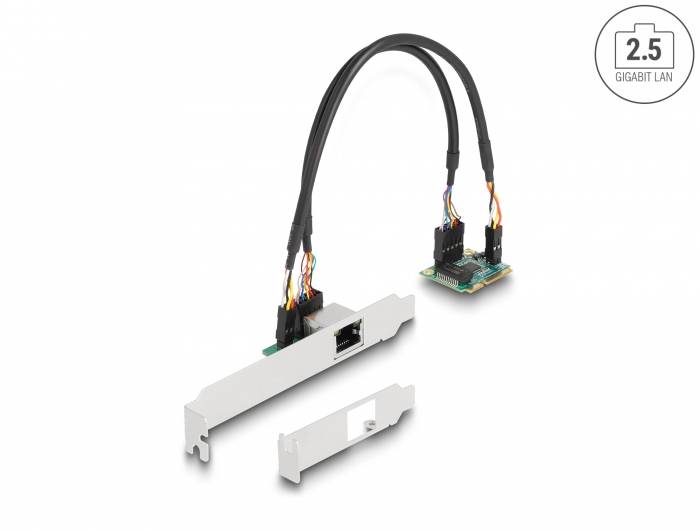 Delock 95271 PCI-Express Karte RJ45 Mini-PCI-Express