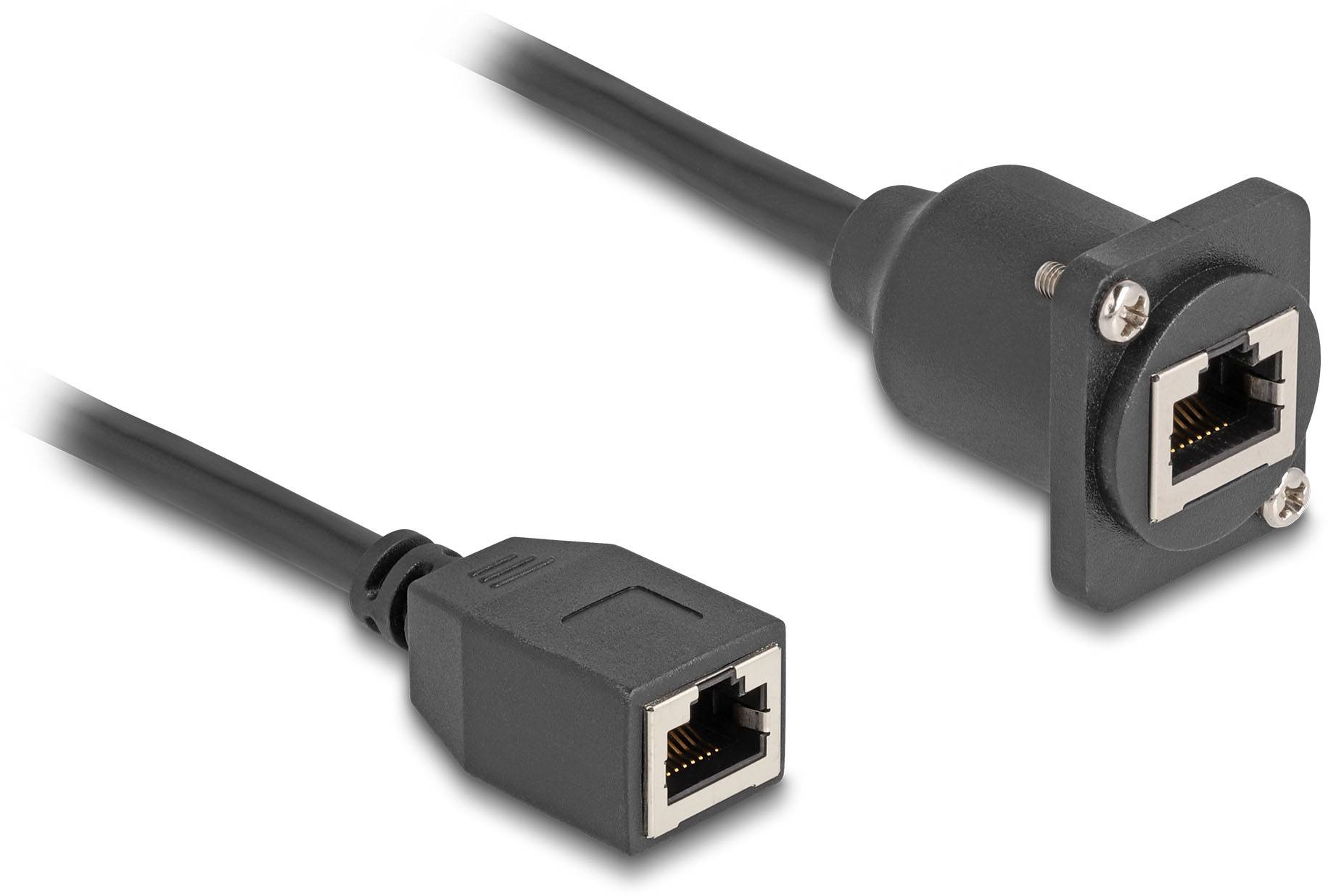 Ethernet-Kabel mit zwei RJ45-Steckern, einer für die Wandmontage geeignet. Geeignet für Netzwerkverbindungen.