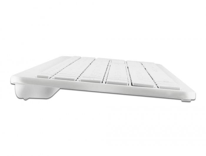 Delock 12014 Kabellos Tastatur Deutsch, QWERTZ Weiß USB-Anschluss