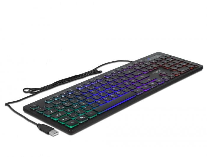 Delock 12625 Kabelgebunden Tastatur Deutsch, QWERTZ Schwarz Beleuchtet