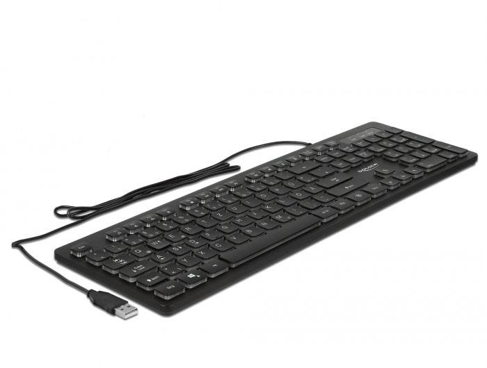 Delock 12625 Kabelgebunden Tastatur Deutsch, QWERTZ Schwarz Beleuchtet