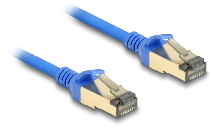 Zwei blaue Ethernet-Kabelstecker mit goldenen Kontakten, gegenüberliegend platziert, auf einem weißen Hintergrund.