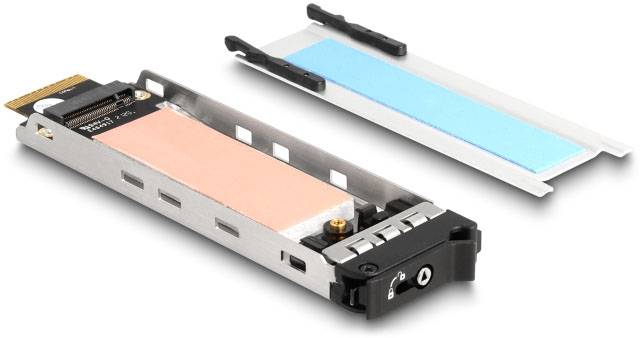 Delock 47028 Festplatten-Wechselrahmen PCI