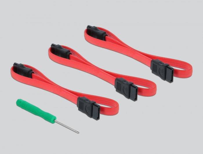 Delock 90499 PCI-Express Karte M.2, SATA PCIe