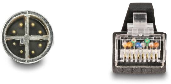 Ein VGA-Stecker und ein RJ45-Stecker von vorn. Der VGA-Stecker hat mehrere runde Pins, der RJ45-Stecker hat bunte Drähte.