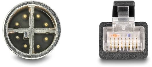 Ein Mini-DIN-Stecker mit 6 Pins und ein RJ-45-Stecker nebeneinander, isoliert auf weißem Hintergrund.