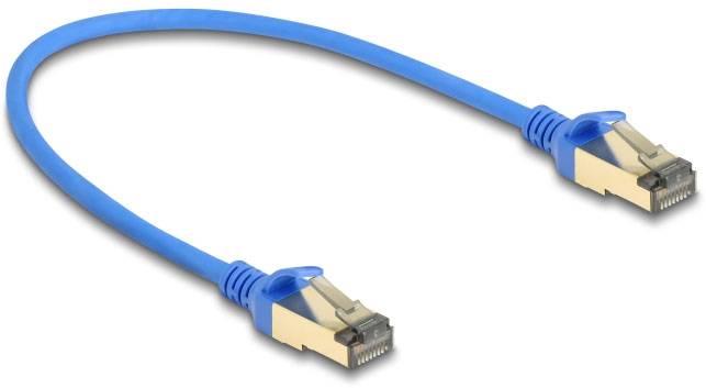 Ein blaues Ethernet-Kabel mit zwei RJ45-Steckern, das für Netzwerkverbindungen verwendet wird.