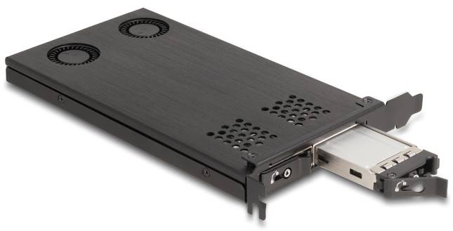 Delock 47042 PCI-Express Karte M.2 PCIe