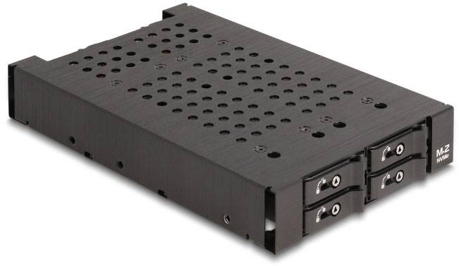 Delock 47111 Festplatten-Wechselrahmen M.2, PCI, PCIe