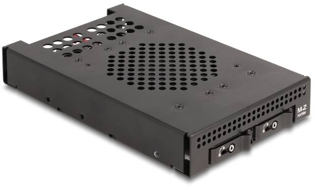 Delock 47117 Festplatten-Wechselrahmen M.2, PCI, PCIe