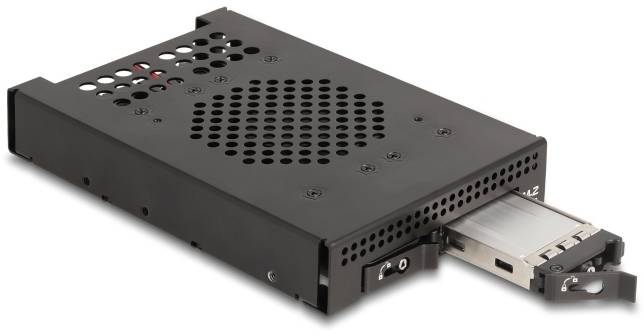 Delock 47117 Festplatten-Wechselrahmen M.2, PCI, PCIe