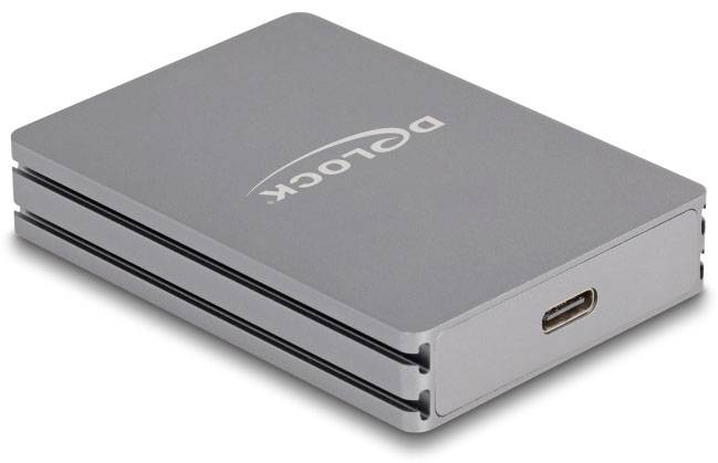 Delock 91011 Externer Speicherkartenleser Grau