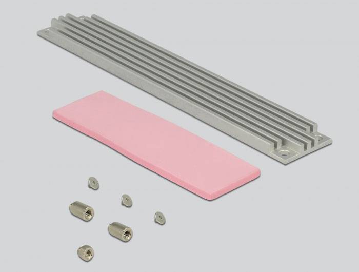 Delock 63922 Schnittstellen-Konverter [1x U.2 - 1x M2]