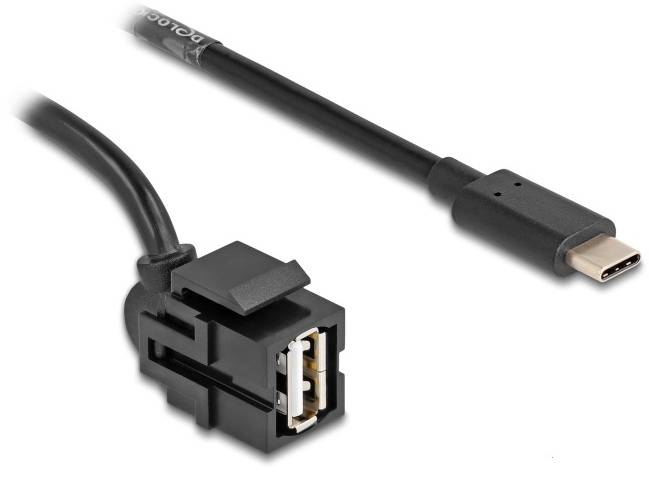 USB-C-Stecker und ein USB-A-Buchsenadapter verbunden durch ein schwarzes Kabel.