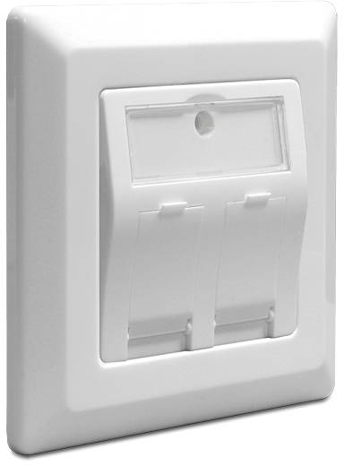 Delock Steckdose Snap-In Einsatz Unbestückt 2 Port