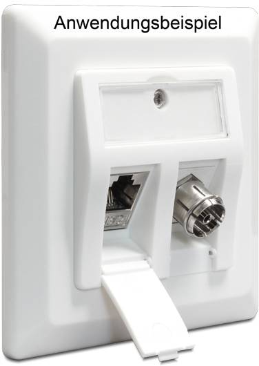 Delock Steckdose Snap-In Einsatz Unbestückt 2 Port