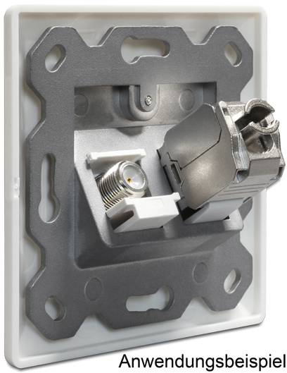 Delock Steckdose Snap-In Einsatz Unbestückt 2 Port