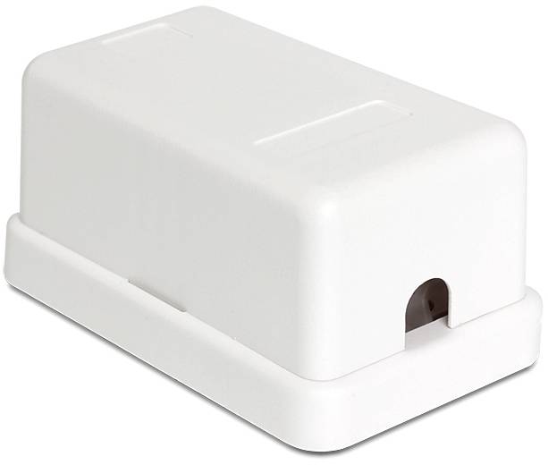 Delock 86226 Geräteeinsatz Keystone 1St.