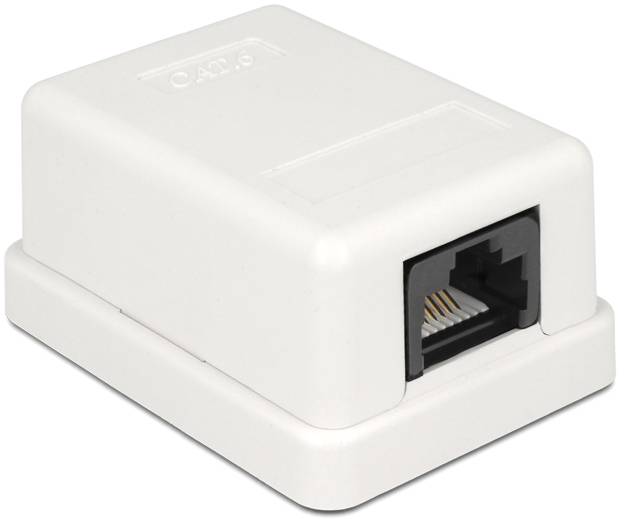 Delock 86248 Netzwerk Anschlussdose 1 Port Cat.6 kompakt UTP 86248 Weiß 1St.