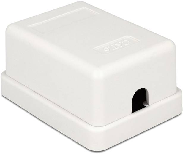 Delock 86248 Netzwerk Anschlussdose 1 Port Cat.6 kompakt UTP 86248 Weiß 1St.