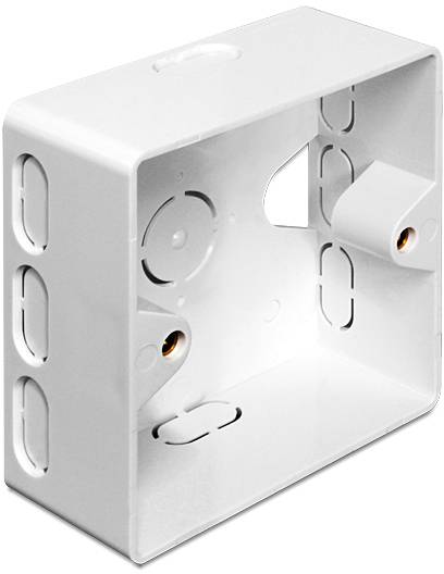 Delock Netzwerkdose Aufputz 2 Port Weiß