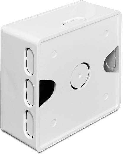 Delock Netzwerkdose Aufputz 2 Port Weiß