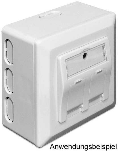 Delock Netzwerkdose Aufputz 2 Port Weiß