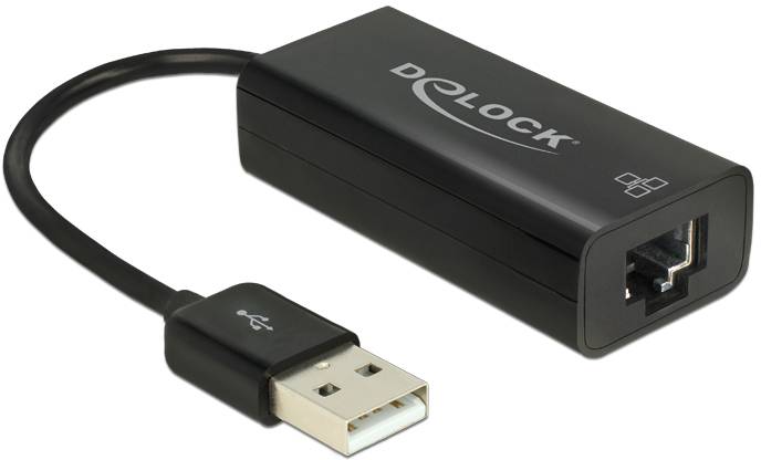 Delock 62595 Netzwerkadapter 100MBit/s USB-A, RJ45
