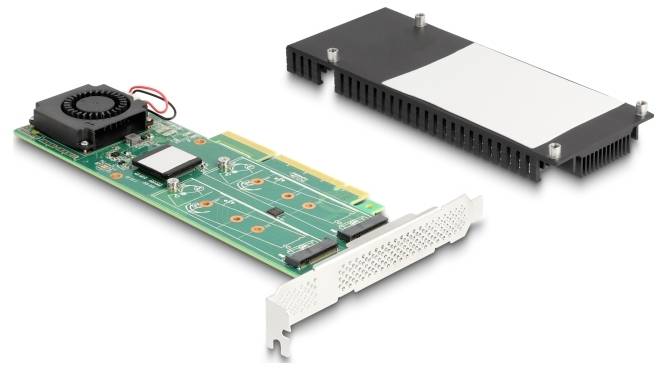 Delock 90123 PCI-Express Karte PCIe x8