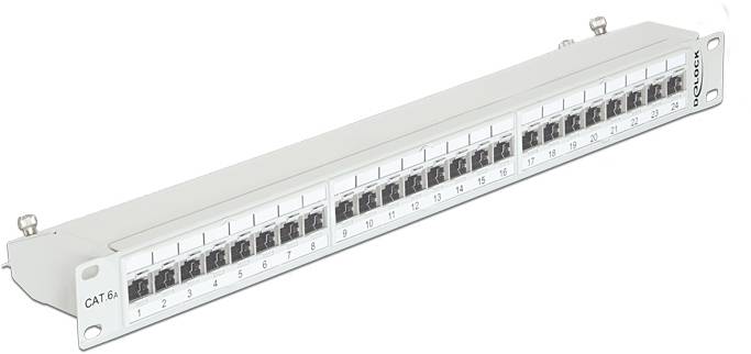 Delock 43319 Patch-Panel 1 HE Grau