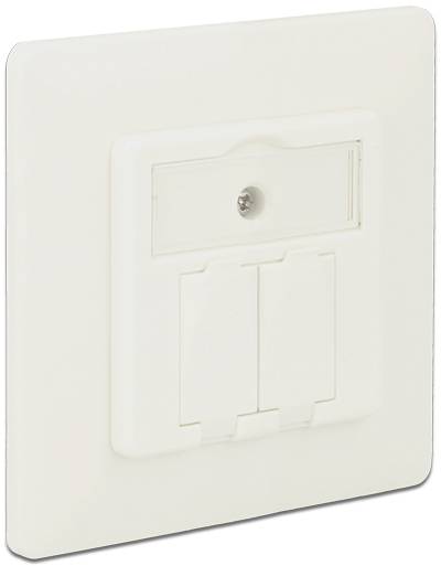 Delock Steckdose Snap-In Einsatz Unbestückt 2 Port