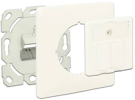 Delock Steckdose Snap-In Einsatz Unbestückt 2 Port