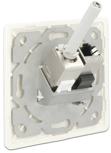 Delock Steckdose Snap-In Einsatz Unbestückt 2 Port