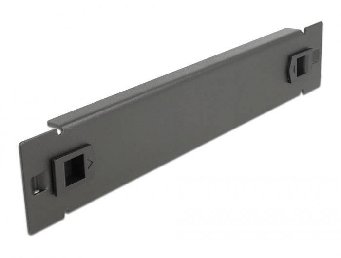 Delock 66576 10 Zoll Netzwerkschrank-Blindabdeckung Schwarz