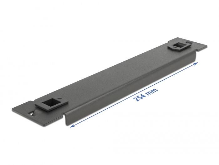 Delock 66576 10 Zoll Netzwerkschrank-Blindabdeckung Schwarz