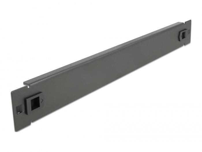 Delock 66577 19 Zoll Netzwerkschrank-Blindabdeckung 1 HE Schwarz
