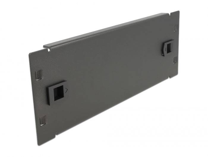 Delock 66578 10 Zoll Netzwerkschrank-Blindabdeckung Schwarz