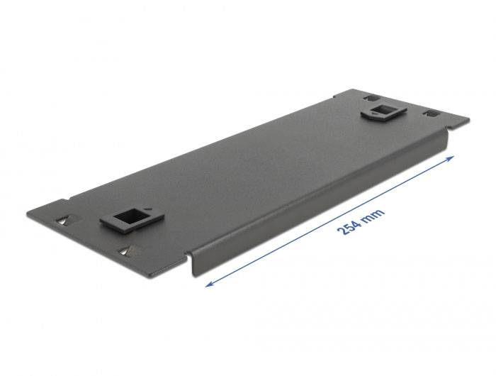 Delock 66578 10 Zoll Netzwerkschrank-Blindabdeckung Schwarz