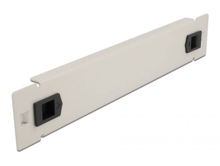 Delock 66629 10 Zoll Netzwerkschrank-Blindabdeckung Grau