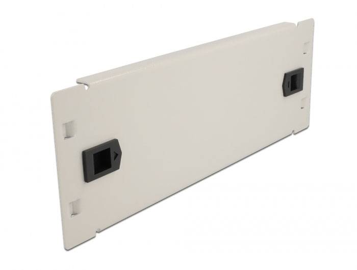 Delock 66631 10 Zoll Netzwerkschrank-Blindabdeckung Grau
