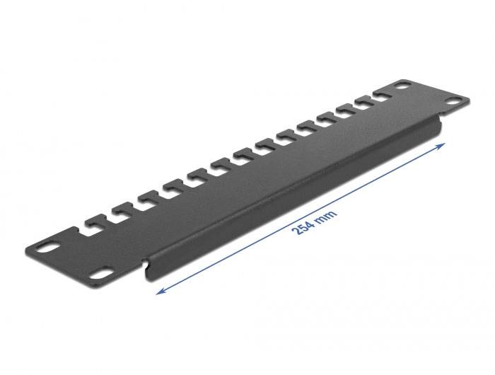 Delock 66677 10 Zoll Netzwerkschrank-Abfanggitter Schwarz