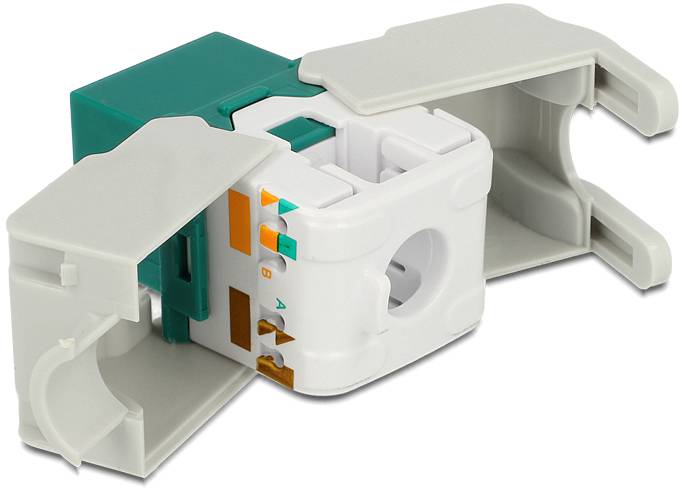 Delock 86349 RJ45-Einbaumodul Keystone CAT 6a 1St.