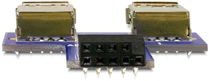 Zwei USB-Ports auf einer blauen Leiterplatte mit zehn schwarzen Steckplätzen.