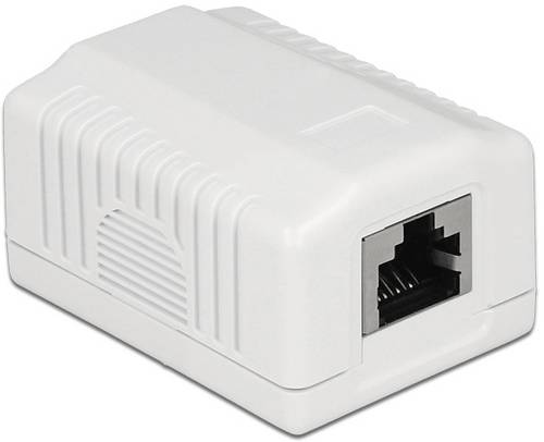 Delock 86196 Network outlet Surface-mount CAT 6A White for network...