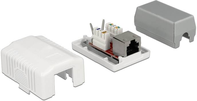 Delock Netzwerkdose Aufputz CAT 6a Weiß