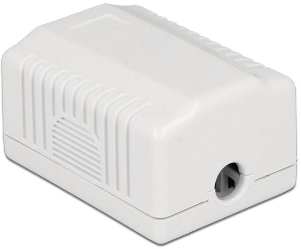 Delock Netzwerkdose Aufputz CAT 6a Weiß